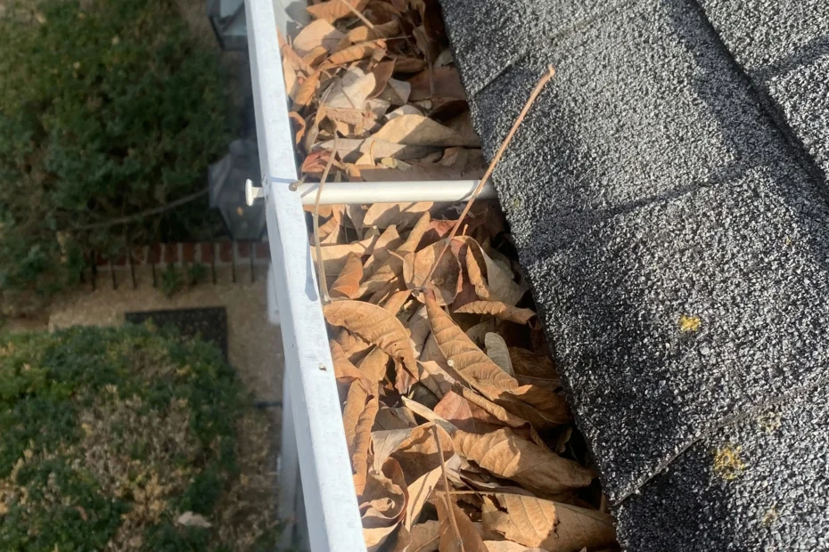 Gutter Cleaning Vinings